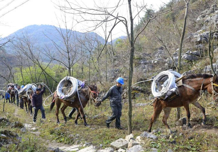 三峡“马帮”运输队护卫库区电网”