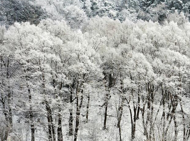 四川阿坝州理县迎来第一场冬雪”