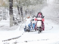 山东威海降雪”