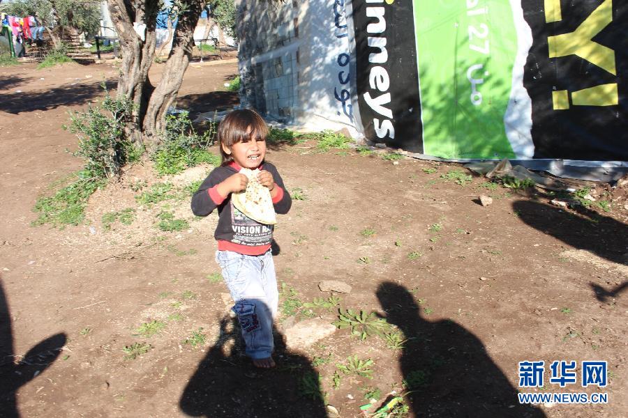 ����ʳƷԮ���жϺ��������������ټ�����в��