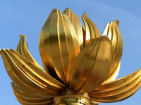 濠江映莲花 丽日别样红——澳门回归15周年纪实”