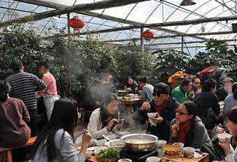 云南罗平现创新“农家乐” 苗圃大棚内涮火锅”