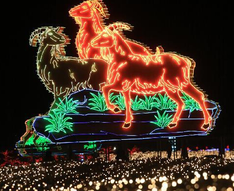 “三羊开泰”彩灯亮相大连星海广场”