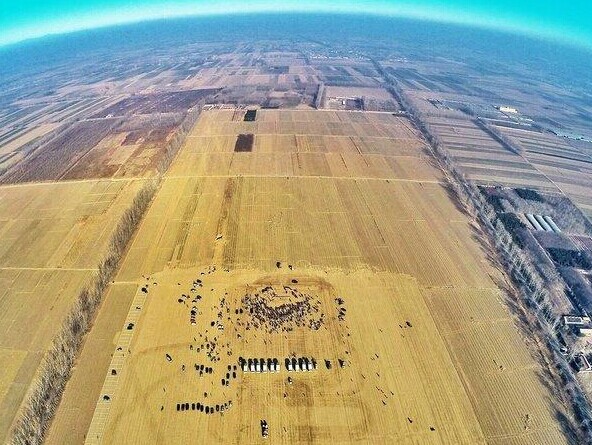 �����»����������� Ͷ�ʽ�800�ڡ�