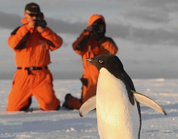 ��ɽվ�ġ������ھӡ���