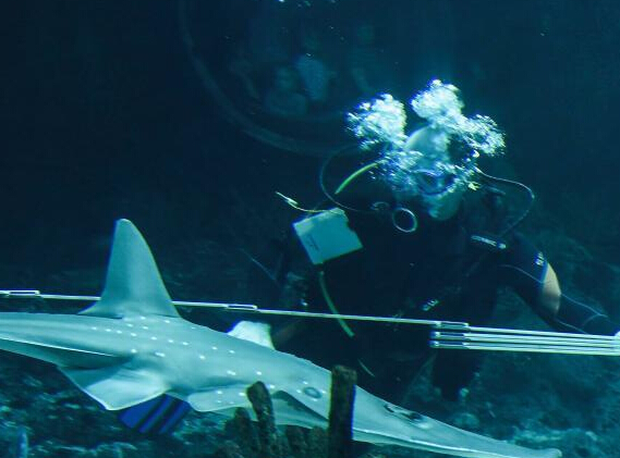 ¹˶԰̵ ǱˮԱΪͷ峤