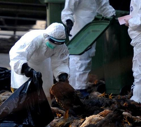 ���ȷ���ڵع��ۻ����H7�����в�����