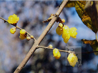 ������������ݺ��÷����