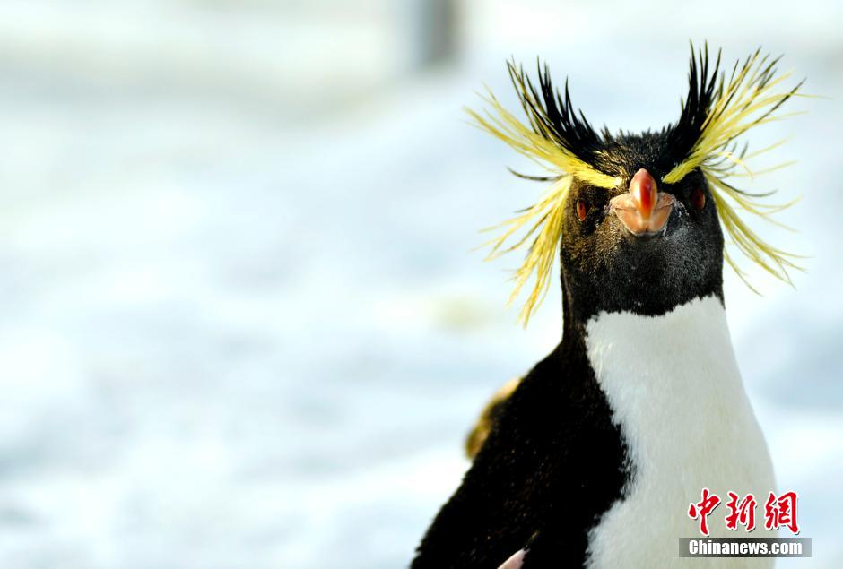 ��������������� �����ѩ���껪��