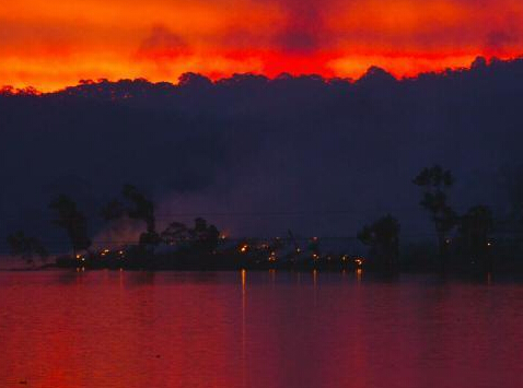 澳大利亚林火蔓延 火光映天”