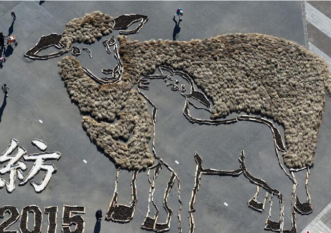 日本公园用植物打造两只“巨型绵羊””