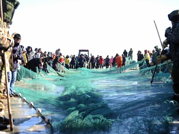 ���ɹſ�ʲ���ڴ�����������㡱