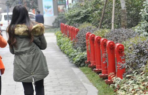 成都街头22个消防栓一字排开”