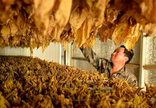 �ҹ�ũ��Ʒ���������˳���ʷ��̨��