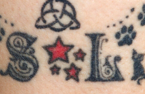 Ӣ��Ů������ֻè���10�� ��è�����˺á�