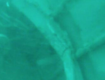 ӡ��Ʒ����Ǻ�ʧ�¿ͻ���β����