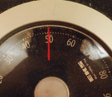 张歆艺自曝身高体重“炫瘦”:1米7不足50公斤”