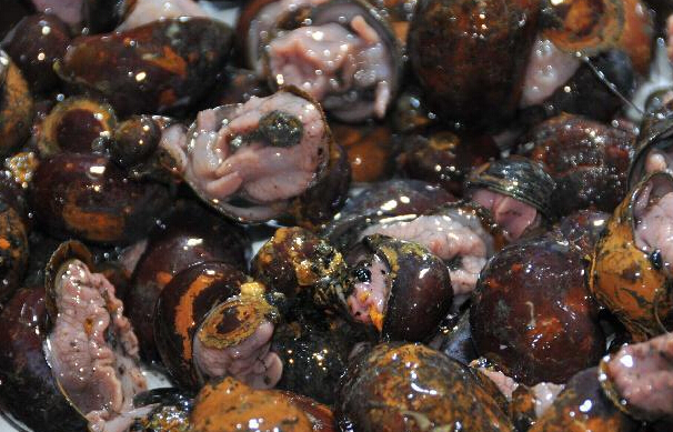 ӡ������Һ��������ջ񡱡�