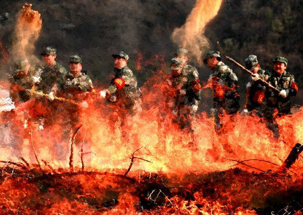 甘陕举行警地联合大规模森林灭火实战演练”