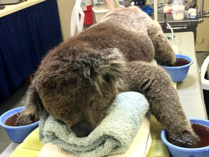 ���޿��������� �������������ߺ����硱