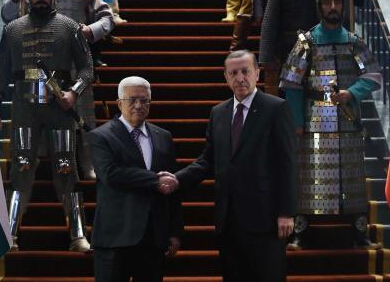 ˹̹쵼˳ šʿжӻӭ