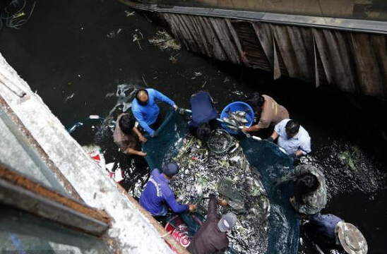 曼谷一废弃商场沦为鱼塘 拆楼前先捕鱼”