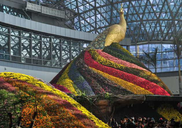 800万株珍稀花卉亮相昆明”