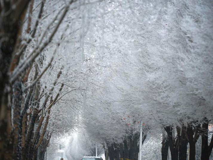 ��³ľ��������ִ������ڡ������