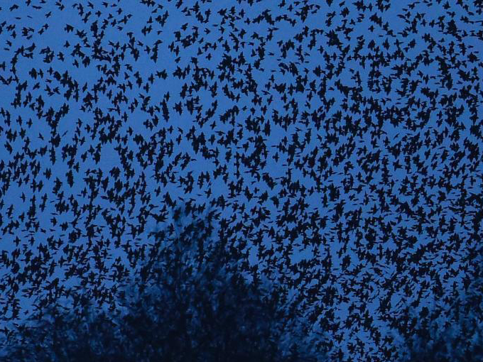 Ӣ��С���Ⱥ�����п��賡��׳�ۡ�