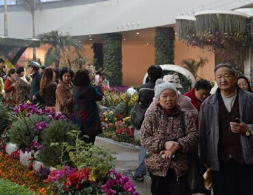 �������������ۺ�������������