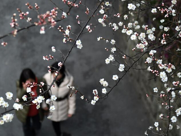 ɽ��ů��÷������