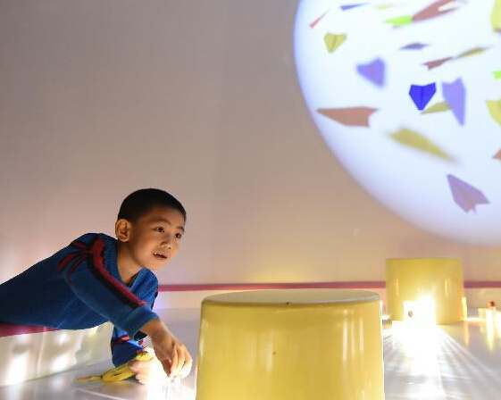 ����ʡ��ѧ�����ݿ��ݡ�