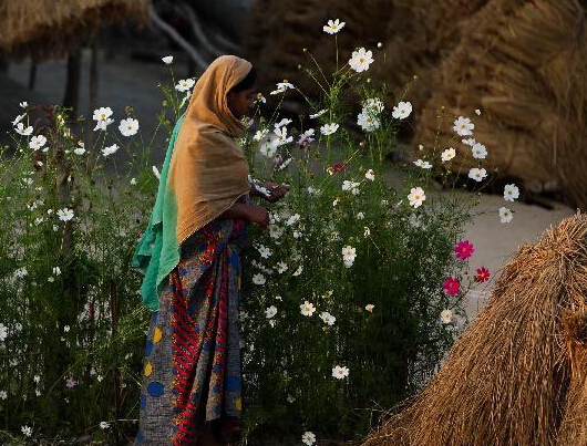 ӡ�����ϼ������������޵ķ������顱