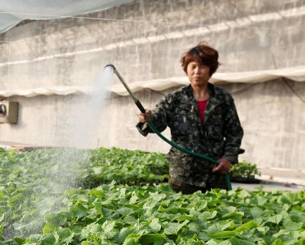 ���󺮡�ʱ�������硱