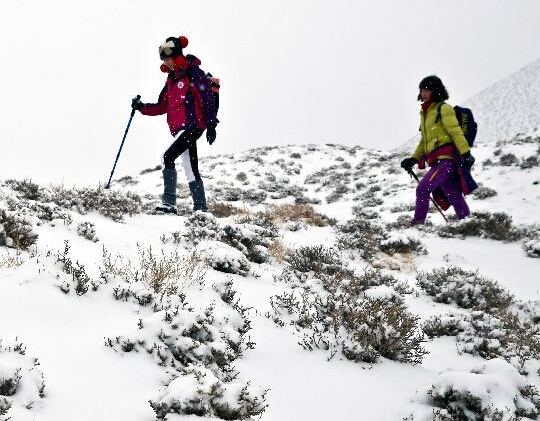 ̤ѩͽ�����⽡����