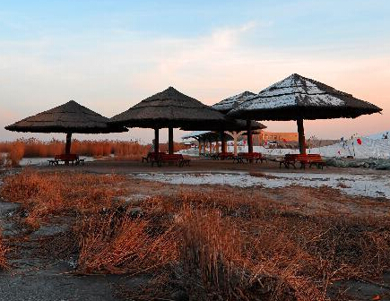 ������ɳ����