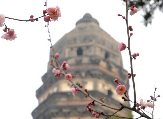 ��÷ӳ����