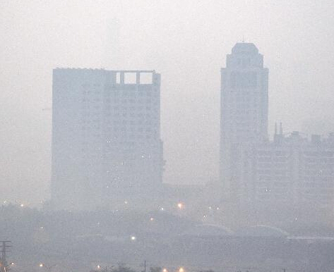 �����������ųǡ�