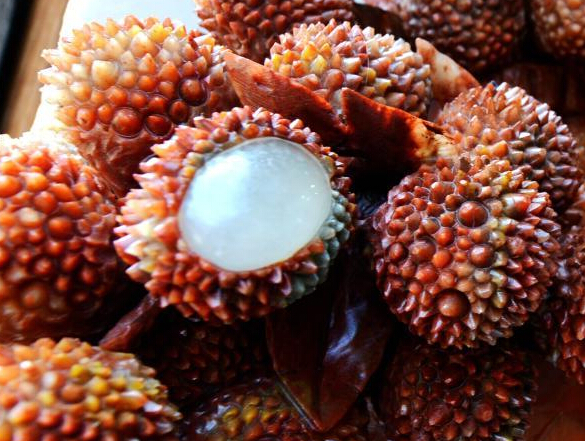 �����֡�ʯͷ��֦�� ����ѱ���Χ�ۡ�