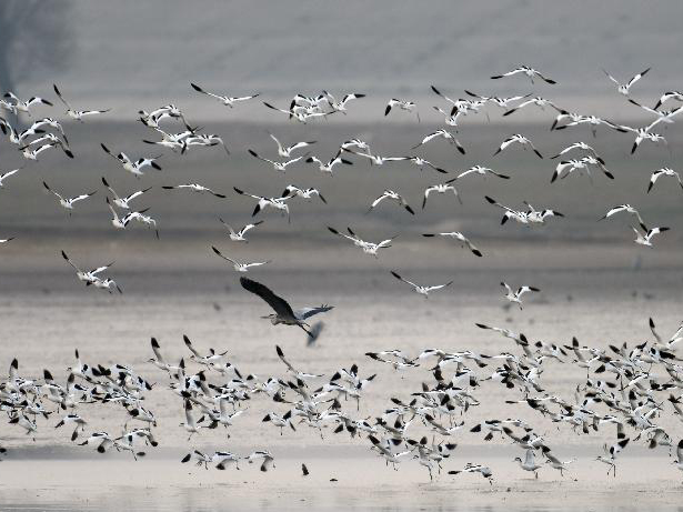 �����輯��ͥ����