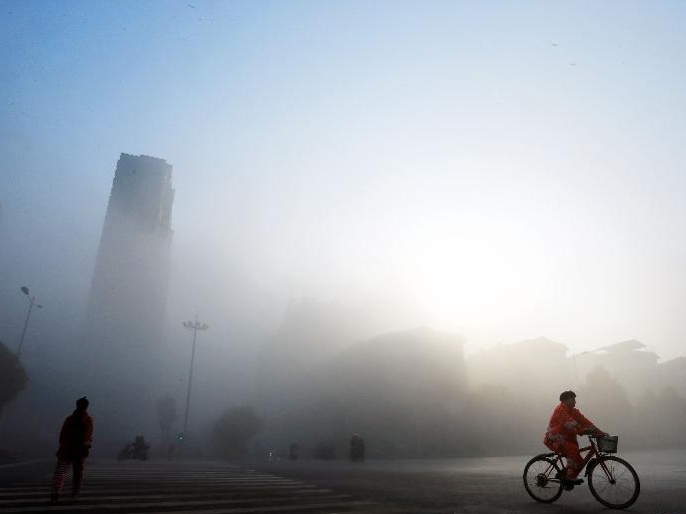 ���Ϻ����������Ρ�