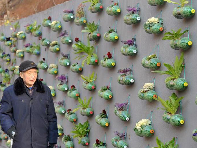 ��ɳһС����ǽ�ϲ�԰��