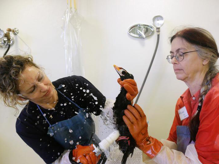 ���ɽ�ɽ������ֻ������������ ��ë���ǲ������ʡ�