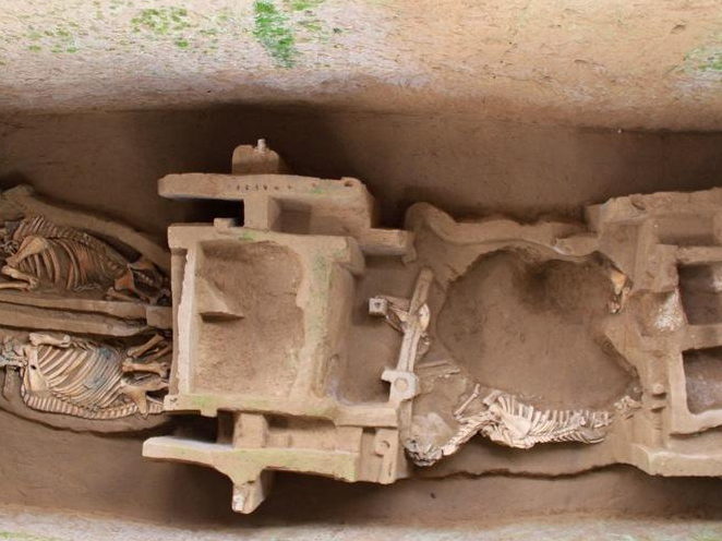 �±��״η����ܴ������� ��������ͭ���С�