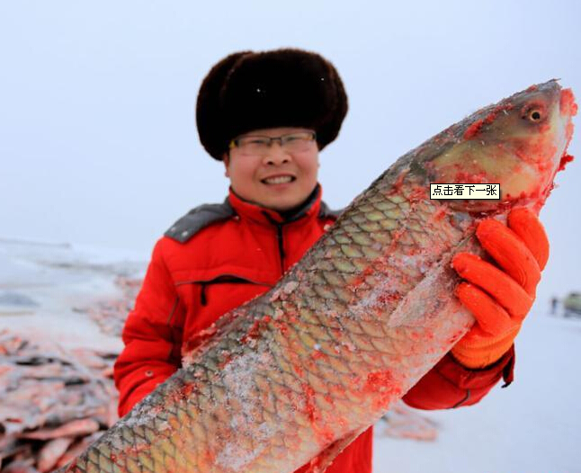 �½���˹�ں�����������ȡ�