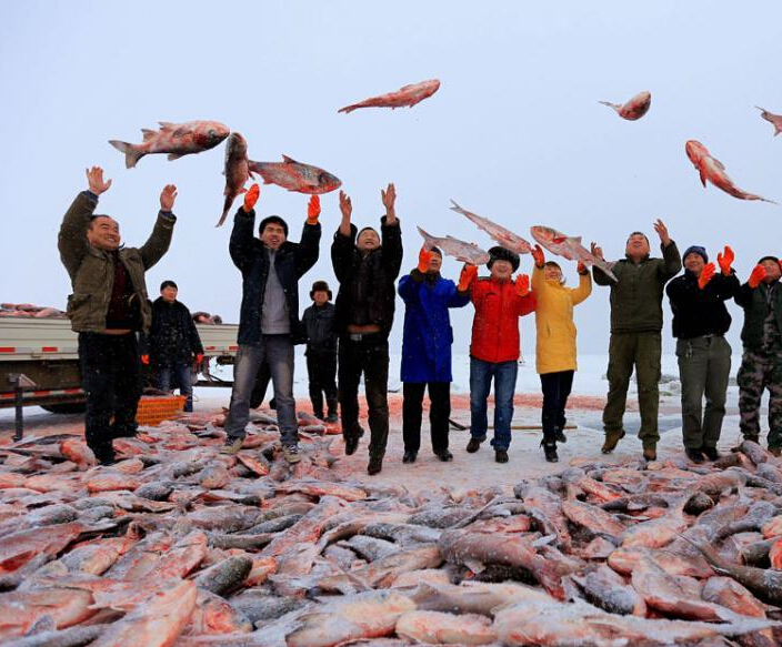 �½���˹�ں�����������ȡ�