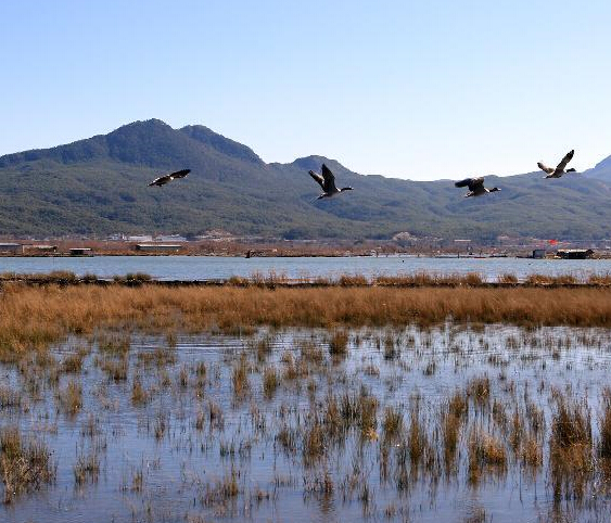 ���к�������������