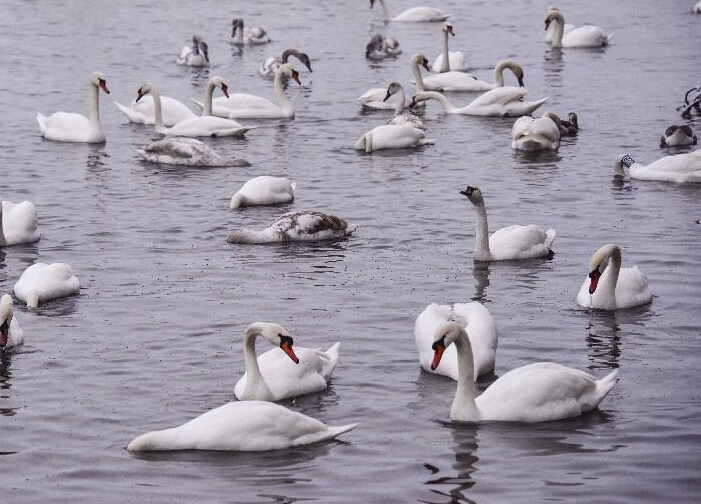 �½�����ӹȳ�Ϊ��조Խ��ʥ�ء���