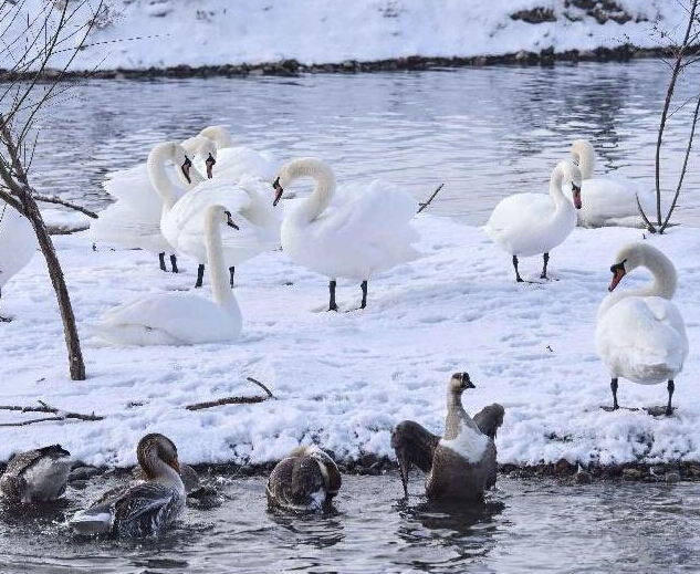 �½�����ӹȳ�Ϊ��조Խ��ʥ�ء���