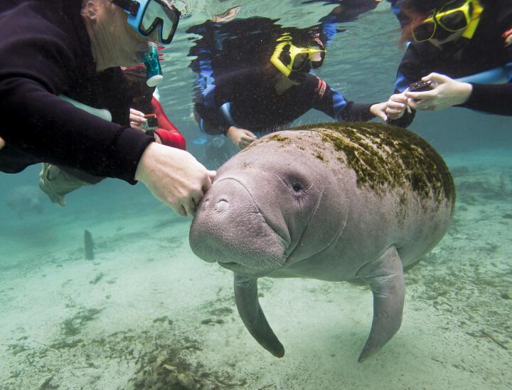 ��ţ��������ݶ�ů�� ������ˮ�¹��衱